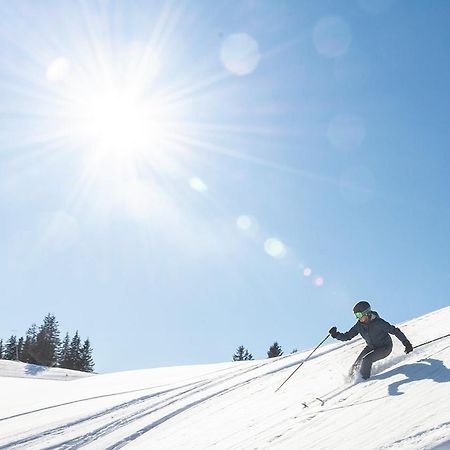 Wellness Pension Iveta Žacléř Exteriör bild